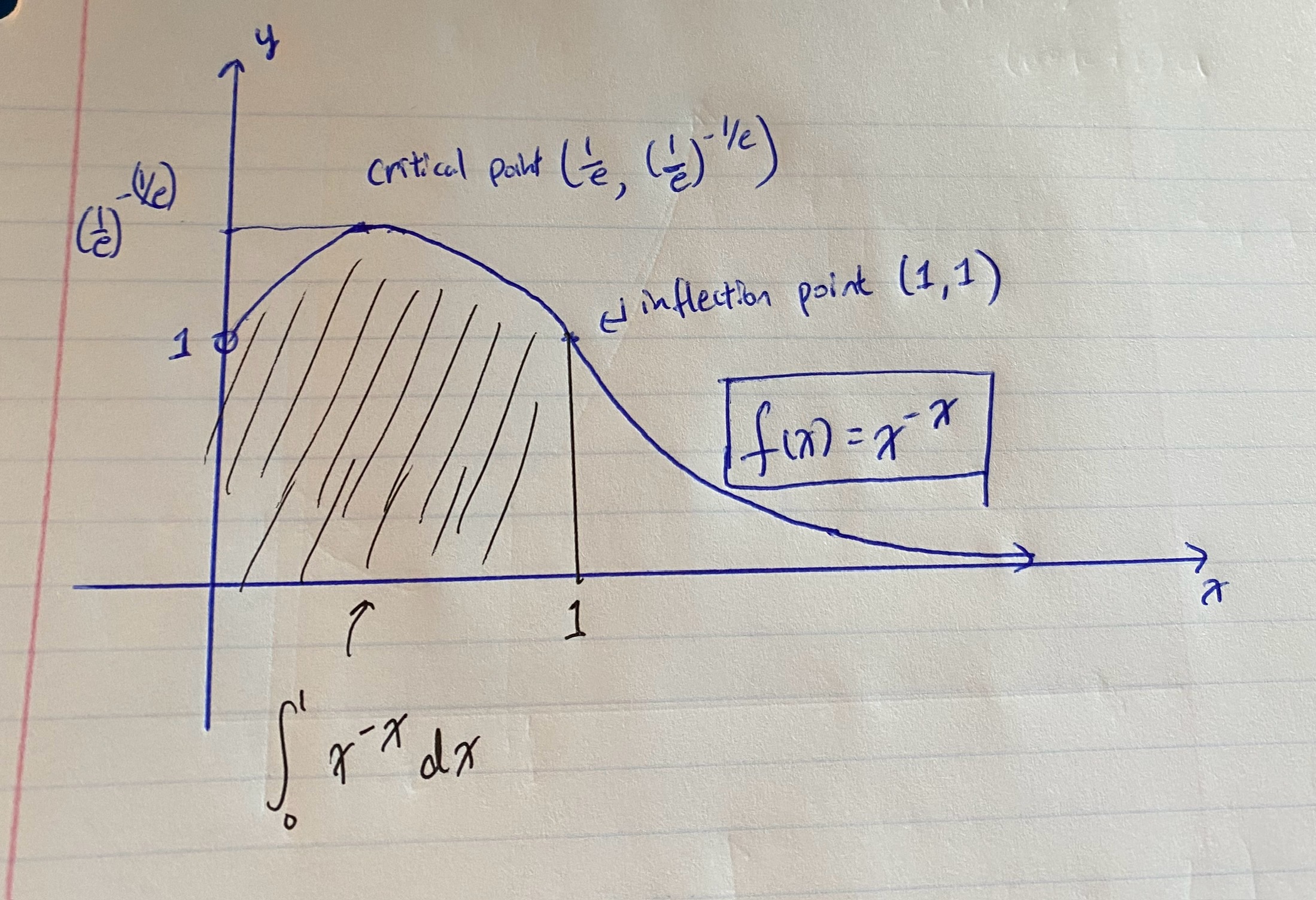 x^x plot